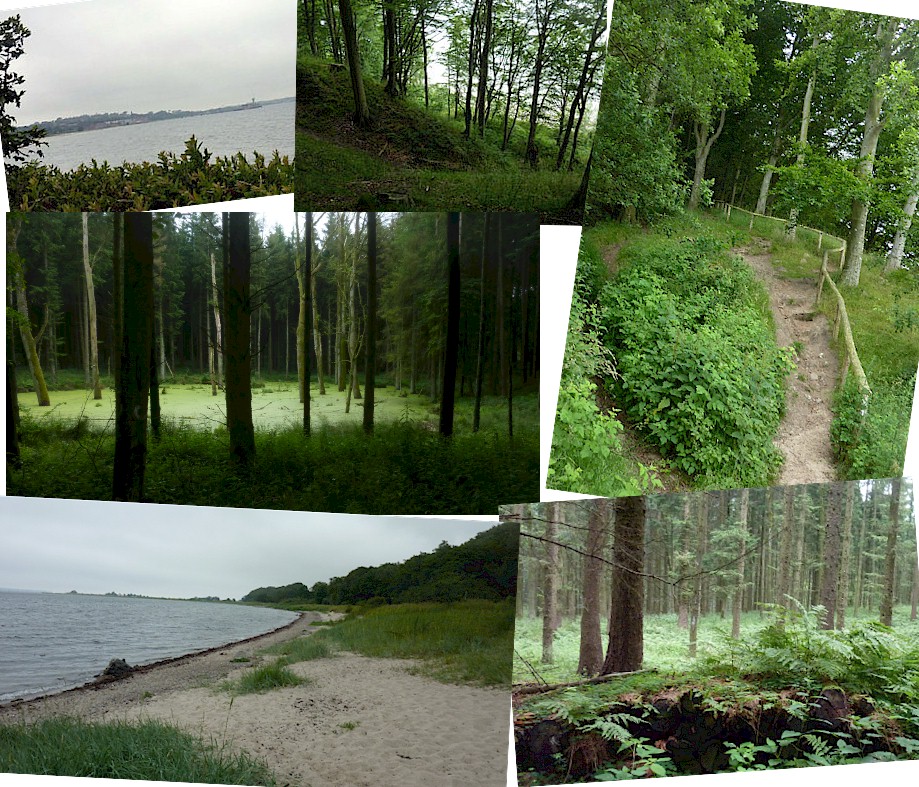 1-5 Mövenberg