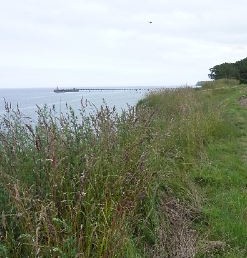 Weg auf der Steilküste