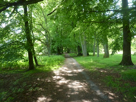 1.22 Allee aus Wilsede